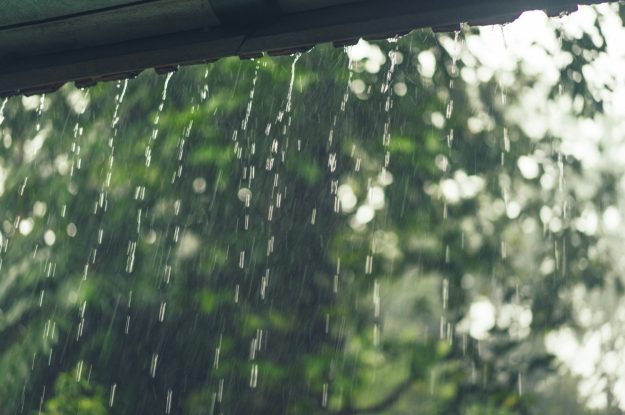 GOTERAS O DAÑOS EN TU VIVIENDA, QUÉ HACER SI LA LLUVIA LAS CAUSA